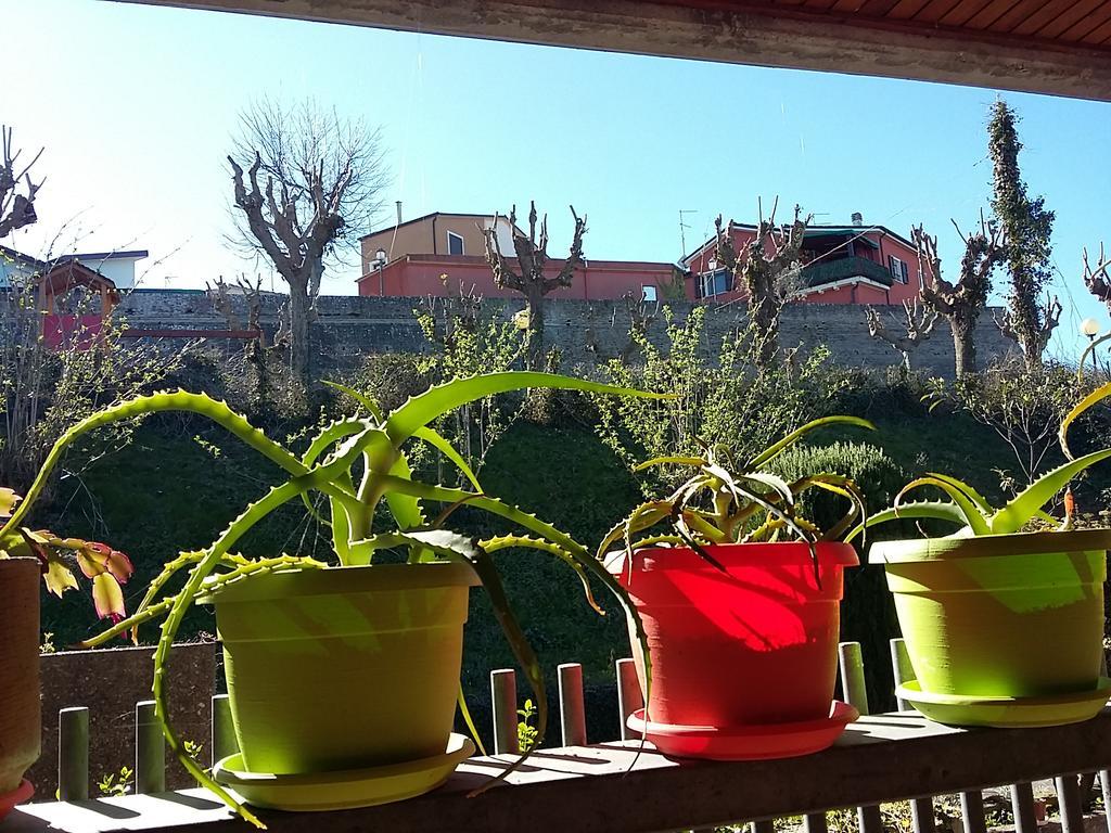 Tarcisio B&B Tavullia Extérieur photo